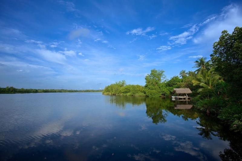 فيلا Dedduwa Boat House بينتوتا المظهر الخارجي الصورة
